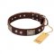 "Pirate Skull" FDT Artisan Brown Leather Bullmastiff Collar with Old Silver Look Plates and Skulls