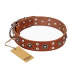 "Silver Elegance" FDT Artisan Decorated Leather Bullmastiff Collar with Old Silver-Like Plated Studs and Cones