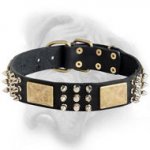 Bullmastiff Dog collar made of leather decorated with spikes, pypamids and plates
