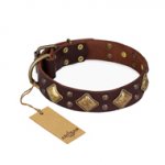 "Golden Square" FDT Artisan Brown Leather Bullmastiff Collar with Large Squares