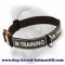 Bullmastiff all-weather training dog collar with id patches