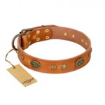 "Sun Beams" FDT Artisan Tan Leather Bullmastiff Collar with Decorations