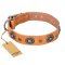 "Twinkle Twinkle" FDT Artisan Incredible Studded Tan Leather Bullmastiff Collar