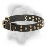 Chic Leather Bullmastiff Collar with 3 Rows of Brass Pyramids
