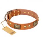 "Saucy Nature" FDT Artisan Tan Leather Bullmastiff Collar with Old Bronze Look Plates and Skulls