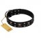 "Black Jack" Stylish Handmade FDT Artisan Black Leather Bullmastiff Collar