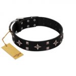 "Snappy Dresser" FDT Artisan Black Leather Bullmastiff Collar Adorned with Stars and Tiny Squares