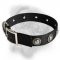 Stylish Nylon Dog Collar for Your Bullmastiff!