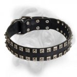 Delicate Caterpillar Leather Bullmastiff Collar for Everyday Activities