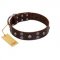 "Skull Valley" Handcrafted FDT Artisan Brown Leather Bullmastiff Collar with Skulls