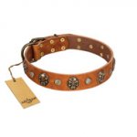 "Call of Feat" FDT Artisan Tan Leather Bullmastiff Collar with Old Bronze-like Studs and Oval Brooches