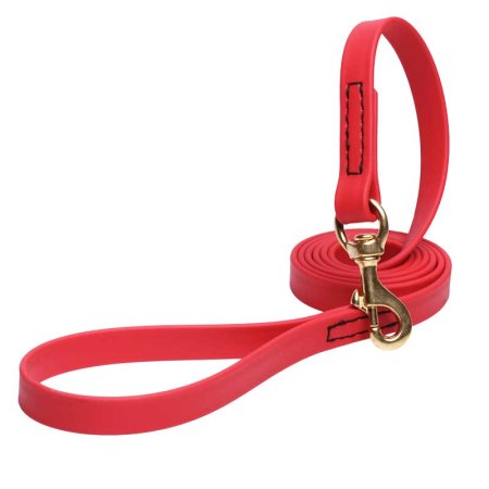 Red Waterproof Bullmastiff Leash Made of Biothane