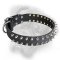 Great Leather Bulmastiff Dog Collar Decoraed With Silver-like Spikes