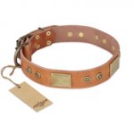 "The Middle Ages" FDT Artisan Handcrafted Tan Leather Bullmastiff Collar