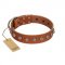 "Heroic Deeds" Designer Handmade FDT Artisan Tan Leather Bullmastiff Collar