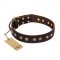 "Bronze Sheen" FDT Artisan Leather Bullmastiff Collar with Brass-Plated Studs