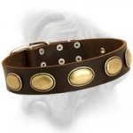 Retro Dog Leather Collar designed for Bullmastiff breed