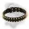 Fabulous Leather Spiked Collar for Bullmastiff Breed
