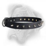 Lovely Royal Quality Leather Bullmastiff Collar for Walks