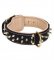 Luxurious and Gorgeous Bullmastiff Dog Collar