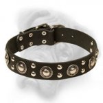 "Rock n Roll" Superior Leather Collar for Bullmastiff Breed