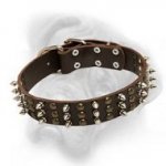 Bullmastiff leather dog collar with impressive columns of studs and spikes