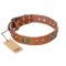 "Stunning Dress" FDT Artisan Tan Leather Bullmastiff Collar with Old Bronze Look Plates and Studs
