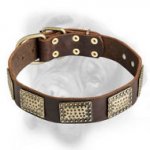 Unusual Leather Dog Collar for your Bullmastiff!