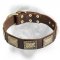 Unusual Leather Dog Collar for your Bullmastiff!