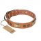 "Lost Desert" FDT Artisan Leather Bullmastiff Collar with Brass Decorations