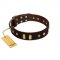 "Blinking Illusion" FDT Artisan Brown Leather Bullmastiff Collar with Old Bronze-like Studs and Plates