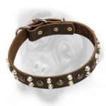 Chic leather dog collar with pyramids and studs for Bullmastiff