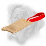 Quality Jute Bullmastiff Bite Tug for Puppy Biting Skills Development