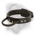 Extremly comfy and high quality 2 ply leather agitation dog collar with handle for Bullmastiff breed