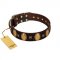 "Crystal Mirror" FDT Artisan Handmade Brown Leather Bullmastiff Collar - 1 1/2 inch (40 mm) Wide