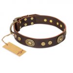 "One-of-a-Kind" FDT Artisan Handmade Decorated Brown Leather Bullmastiff Collar