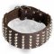 3 inch Studded Leather Dog Collar for Bullmastiff