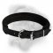 Effective agitation training with fully padded leather dog collar for Bullmastiff breed