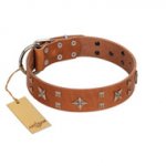 "Dreamy Gleam" FDT Artisan Tan Leather Bullmastiff Collar Adorned with Stars and Squares