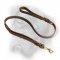 Leather Bullmastiff Leash With Extra Handle
