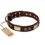 "Golden Stones" FDT Artisan Brown Leather Bullmastiff Collar with Old Bronze Look Plates and Circles
