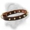 Premium Spiked Leather Dog Collar for Bullmastiff breed