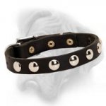 Studded Leather 3/4 inch (19 mm) Wide Bullmastiff Collar