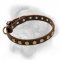 Bullmastiff leather collar with shiny row of circles