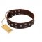 "Brown Shadow" Designer Handmade FDT Artisan Brown Leather Bullmastiff Collar