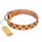 "Precious Sparkle" FDT Artisan Handcrafted Tan Leather Bullmastiff Collar