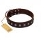 "Spring Flower" Stylish FDT Artisan Brown Leather Bullmastiff Collar for Comfy Walks