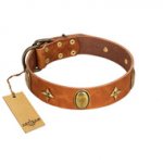 "Space Warrior" FDT Artisan Tan Leather Bullmastiff Collar with Ovals and Stars