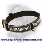 Bullmastiff all-weather training dog collar with id patches