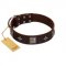 "Cold Star" Designer FDT Artisan Brown Leather Bullmastiff Collar with Silver-Like Adornments